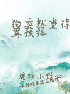 狗突然变得很怪异预兆