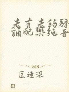 老有老的骄傲朗诵配乐纯音乐mp3