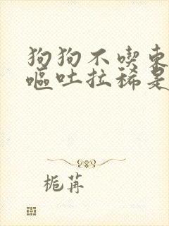 狗狗不吃东西还呕吐拉稀是怎么回事