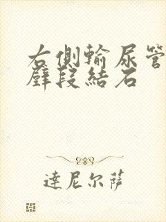 右侧输尿管膀胱壁段结石