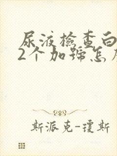 尿液检查白细胞2个加号怎么回事