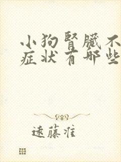 小狗肾脏不好的症状有哪些