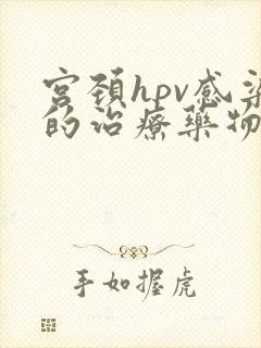 宫颈hpv感染的治疗药物