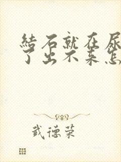 结石就在尿道口了出不来怎么办