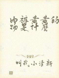 内裤黄黄的分泌物是什么