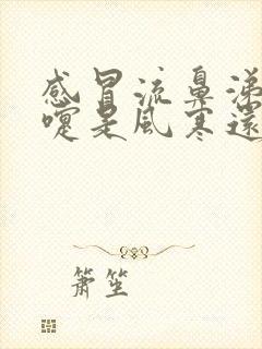 感冒流鼻涕打喷嚏是风寒还是风热