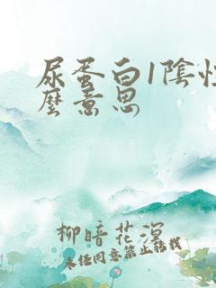 尿蛋白1阴性什么意思