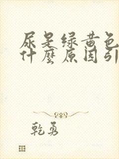 尿是绿黄色的是什么原因引起的