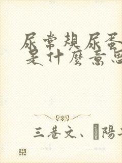 尿常规尿蛋白3 是什么意思