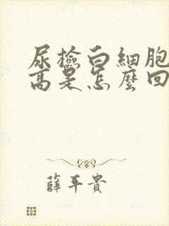 尿检白细胞沉淀高是怎么回事