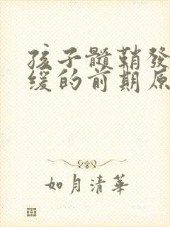 孩子髓鞘发育迟缓的前期原因