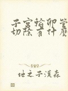 子宫输卵管卵巢切除有什么影响