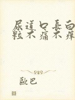 尿道口长白色米粒不痛不痒