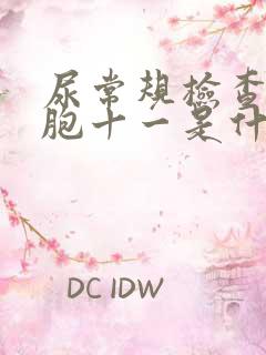 尿常规检查白细胞十一是什么意思