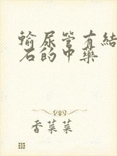 输尿管有结石排石的中药