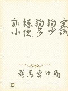 训练狗狗定点大小便多少钱