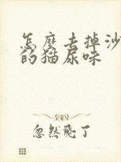 怎么去掉沙发上的猫尿味