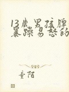 13岁男孩脾气暴躁易怒的中医调理