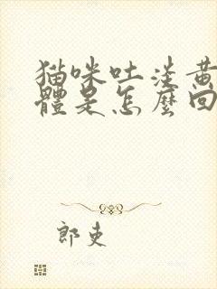 猫咪吐淡黄色液体是怎么回事