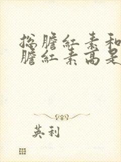 总胆红素和间接胆红素高是什么问题