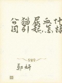 公猫尿血什么原因引起,怎样治疗