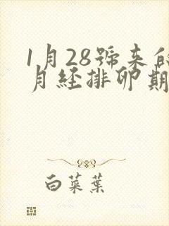 1月28号来的月经排卵期是什么时候