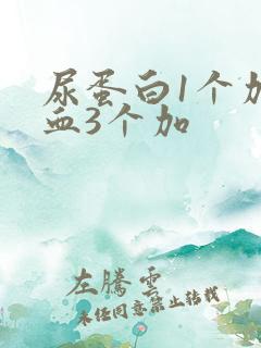 尿蛋白1个加潜血3个加