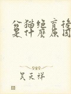 公猫绝育后尿血是什么原因