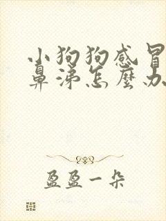 小狗狗感冒流清鼻涕怎么办