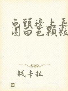 龟头边上长了一圈白色颗粒