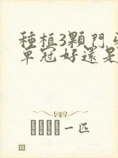 种植3颗门牙做单冠好还是连冠好