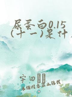 尿蛋白0.15(十一)是什么意思