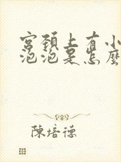 宫颈上有小白色泡泡是怎么回事