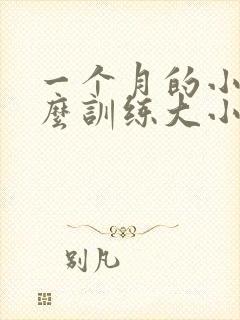 一个月的小猫怎么训练大小便