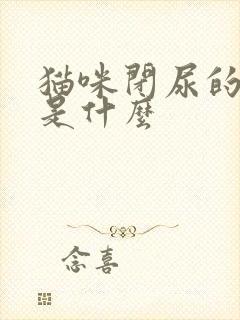 猫咪闭尿的原因是什么