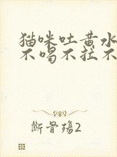 猫咪吐黄水不吃不喝不拉不尿的