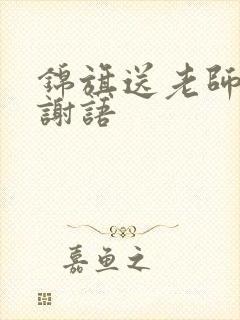 锦旗送老师的感谢语