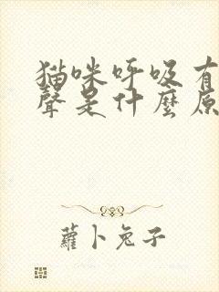 猫咪呼吸有呼噜声是什么原因