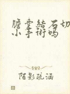 胆囊结石切除是小手术吗