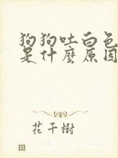 狗狗吐白色液体是什么原因