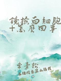 镜检白细胞+++怎么回事