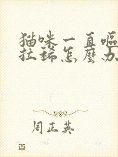 猫咪一直呕吐还拉稀怎么办