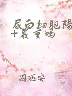 尿白细胞阳性2+严重吗