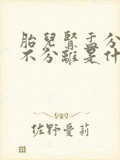 胎儿肾盂分离和不分离是什么意思