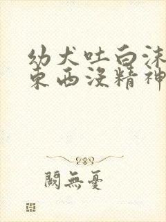 幼犬吐白沫不吃东西没精神怎么办