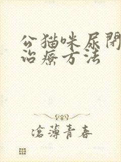 公猫咪尿闭最佳治疗方法