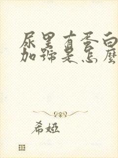 尿里有蛋白一个加号是怎么回事