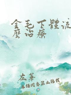 金毛下体流脓怎么治疗