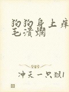 狗狗身上痒痒掉毛溃烂