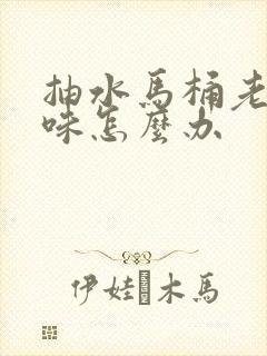 抽水马桶老有臭味怎么办